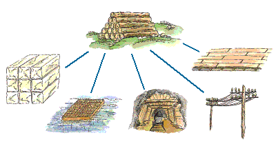 Diversos usos de la madera del eucalipto