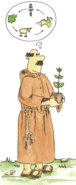 El eucalipto fue trado de Australia por monjes y naturalistas