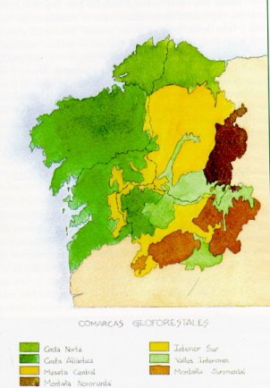 Mapa de Comarcas Geoforestales del Plan Forestal de Galicia.