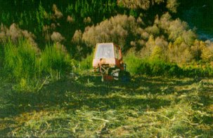 Tractor agrícola de cadenas con apero desbrozador triturador de cadenas.