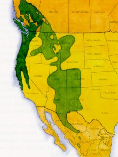 Mapa con áreas de distribución natural de las especie en Norteamérica. La tonalidad verde oscura corresponde a la subespecie viridis.